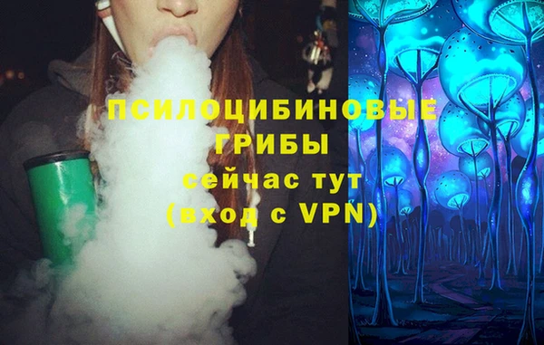 гашик Наволоки