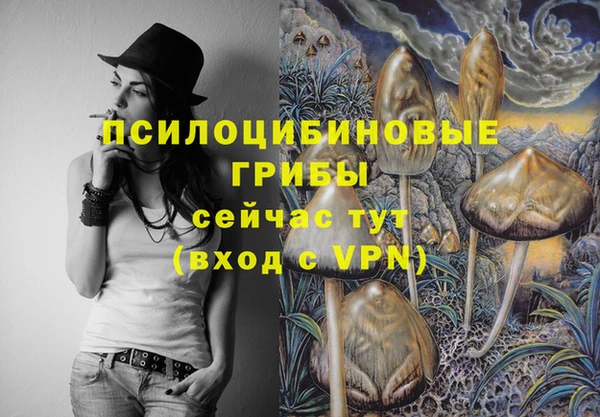 ешки Навашино