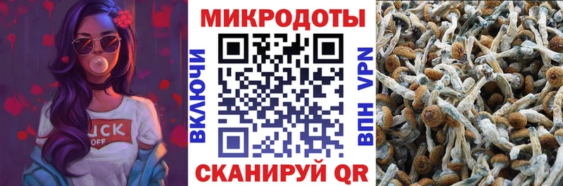 гидра рабочий сайт  дарнет шоп  Нижний Ломов  Галлюциногенные грибы Psilocybine cubensis 